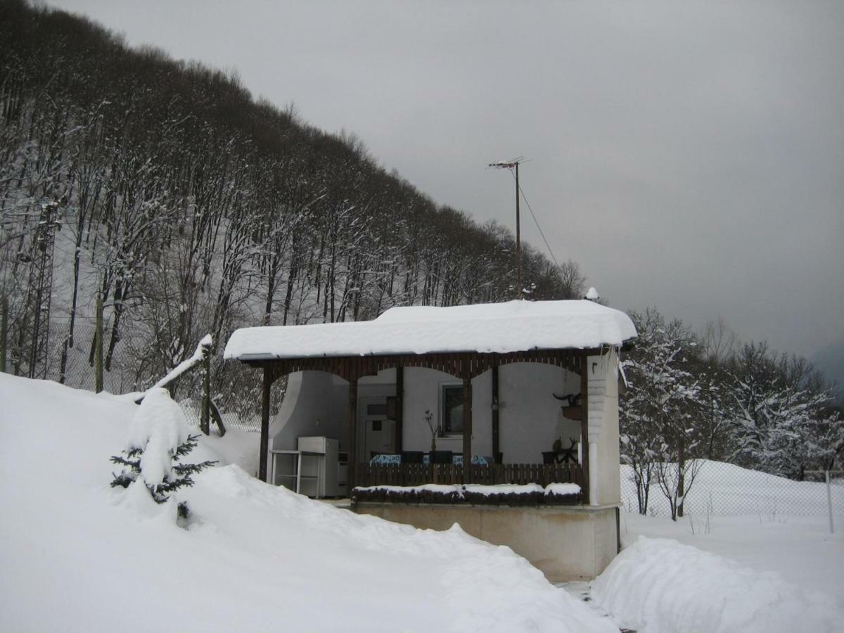 Bungalows Zdravets Berkovitsa Buitenkant foto