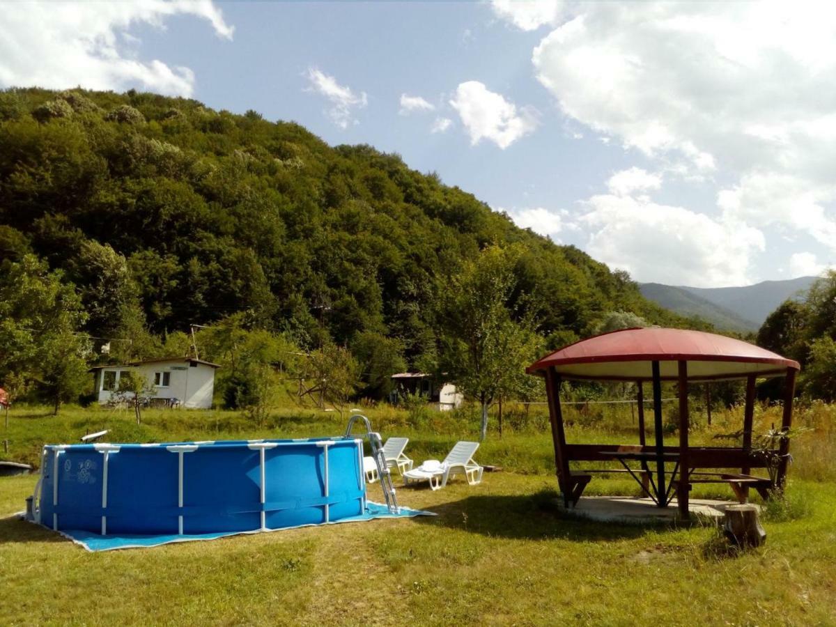 Bungalows Zdravets Berkovitsa Buitenkant foto