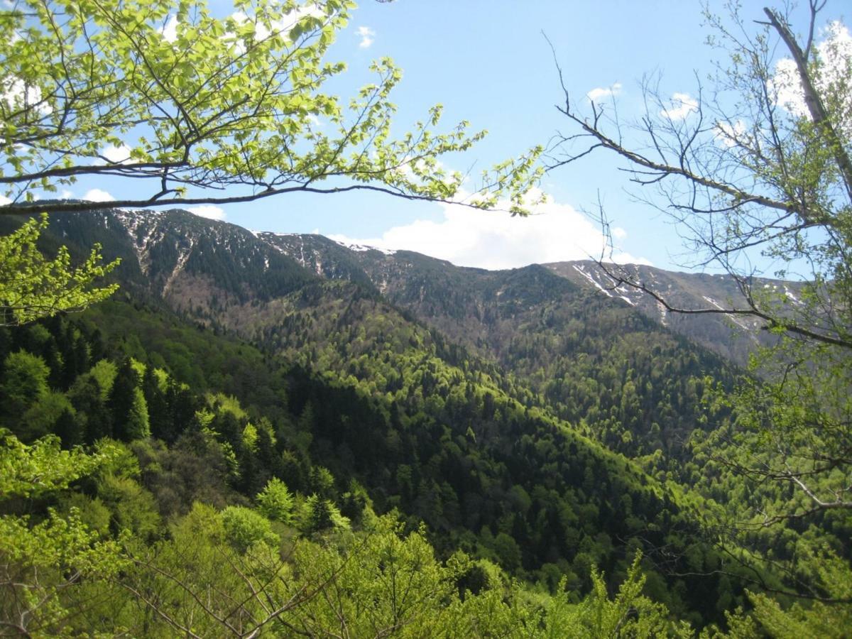 Bungalows Zdravets Berkovitsa Buitenkant foto