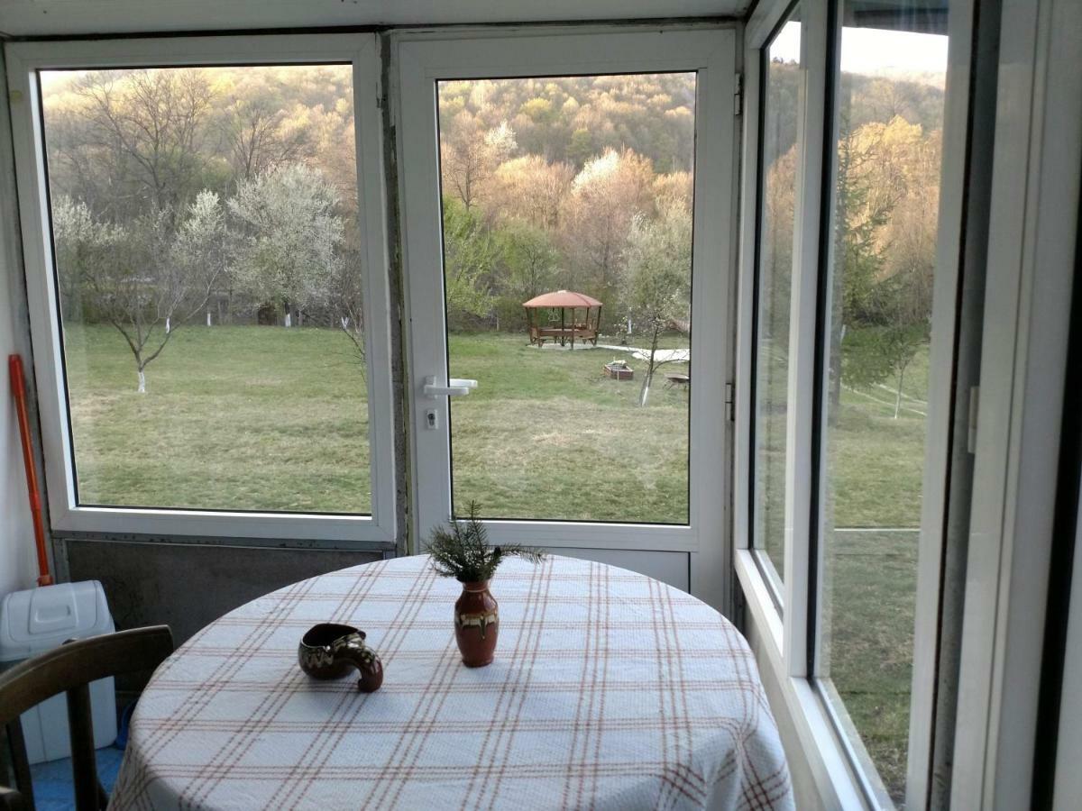 Bungalows Zdravets Berkovitsa Buitenkant foto