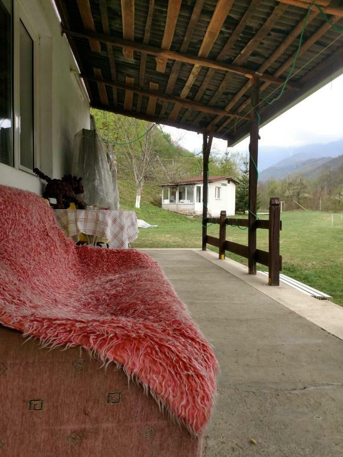 Bungalows Zdravets Berkovitsa Buitenkant foto
